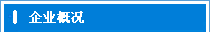 企業概況